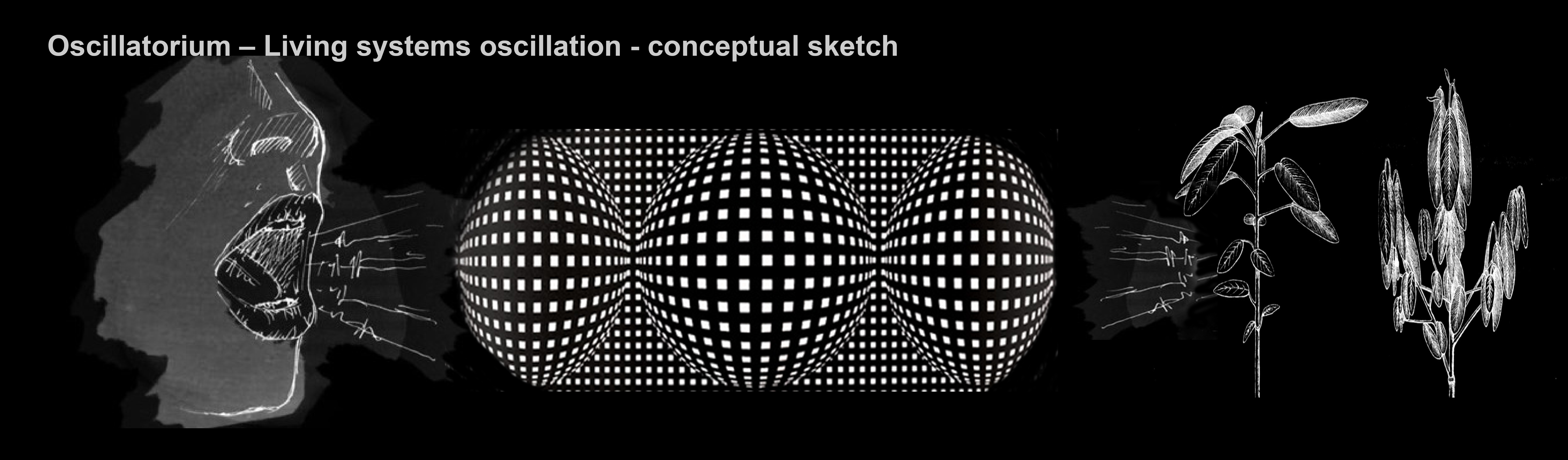 Oscillatorium